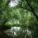 Eiland van Brienenoord